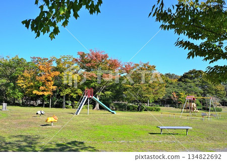 Autumn foliage scenery at Nigorikawa Park (Niigata City, Niigata Prefecture) Autumn foliage scenery at Nigorikawa Park (Niigata City, Niigata Prefecture) 134822692