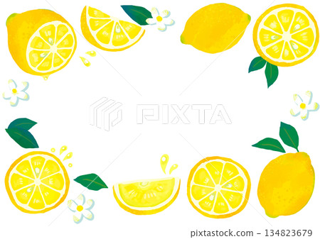Hand-drawn cute lemon frame / transparent 134823679