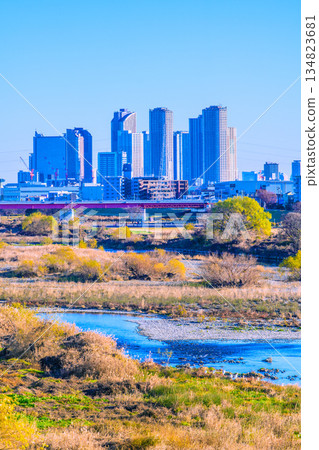 Tokyo cityscape, Japan, December 28th. Winter scenery of the Tama River, waterfowl, and tower apartment buildings in front of Musashi-Kosugi Station. Towards a new era. Tokyo cityscape, Japan, December 28th. Winter scenery of the Tama River, waterfowl, and tower apartment buildings in front of Musashi-Kosugi Station. Towards a new era. 134823681