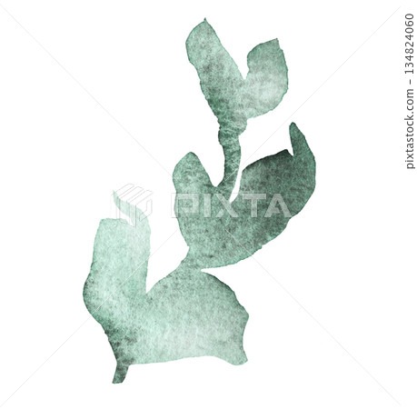 Watercolor twig with light green leaves isolated illustration, pastel wedding stationery element 134824060