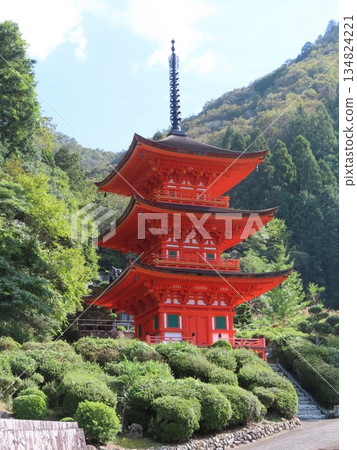 岡山縣最古老的木造建築－牧山長福寺，是國家指定的重要文化財產，其鮮豔的朱紅色三層寶塔在綠色的森林中格外醒目。 134824221