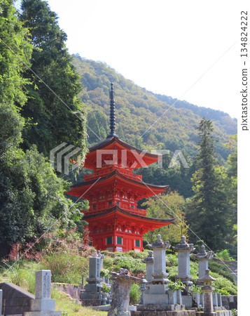 岡山縣最古老的木造建築-牧山長福寺,是國家指定的重要文化財產,其鮮豔的朱紅色三層寶塔在綠色的森林中格外醒目。 岡山縣最古老的木造建築-牧山長福寺,是國家指定的重要文化財產,其鮮豔的朱紅色三層寶塔在綠色的森林中格外醒目。 134824222