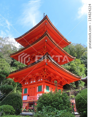 岡山縣最古老的木造建築－牧山長福寺，是國家指定的重要文化財產，其鮮豔的朱紅色三層寶塔在綠色的森林中格外醒目。 134824224