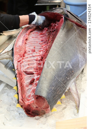 Tuna filleting: A person who fillets a fish Tuna filleting: A person who fillets a fish 134824354