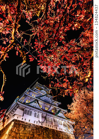 Night view of Osaka Castle tower surrounded by autumn leaves 134824437
