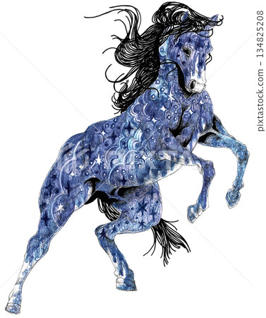 Bouncing horse 134825208