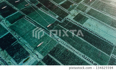 Drone view of seaweed farm at Lembongan island in Indonesia Drone view of seaweed farm at Lembongan island in Indonesia 134825594