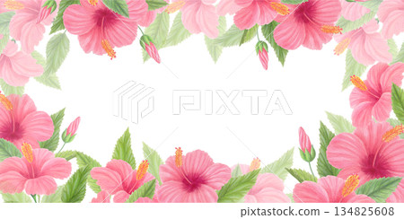 Hibiscus floral horizontal frame with pink tropical flowers, green leaves and buds isolated on white. Watercolor botanical border. Hibiscus floral horizontal frame with pink tropical flowers, green leaves and buds isolated on white. Watercolor botanical border. 134825608
