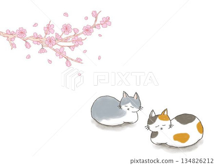睡覺在櫻桃樹下的貓 睡覺在櫻桃樹下的貓 134826212