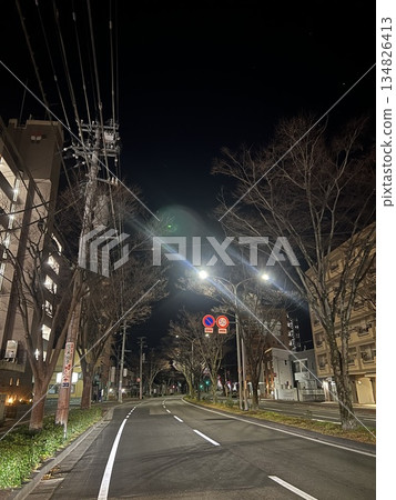 夜幕降臨,一條綠樹成蔭的道路和一片寧靜的住宅區。 夜幕降臨,一條綠樹成蔭的道路和一片寧靜的住宅區。 134826413