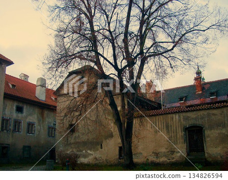 Cityscape of Cesky Krumlov, Czech Republic 134826594