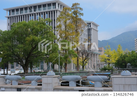 View of City Hall from Yayoi Bridge 134826746