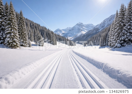 Groomed cross country ski track through snowy forest valley with mountains, winter nature landscape and travel concept 134826975