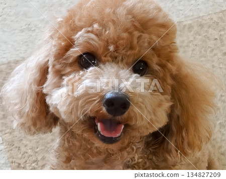 一個微笑 134827209