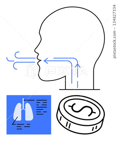 Health education, medical research, air pollution effects, respiratory economics, healthcare cost, human physiology. Illustration of airflow, lungs and a coin symbol. Health education and medical 134827334