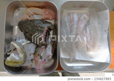 釣魚:扁頭魚 57厘米 釣魚:扁頭魚 57厘米 134827865