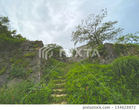 米子城遺址的茂盛植被 134828972