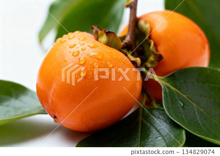 ripe persimmon on branch 134829074
