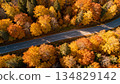 highway in autumn 134829142