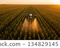 tractor on a field 134829145
