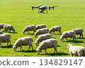 drone on green grass 134829147