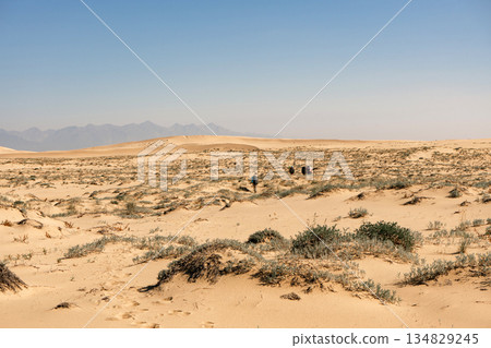 Expansive desert landscape with sand dunes and sparse vegetation, wilderness Expansive desert landscape with sand dunes and sparse vegetation, wilderness 134829245