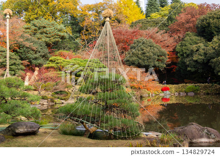 A garden scene of snow-hanging pine trees and colorful autumn leaves standing by the pond in the former Furukawa Gardens A garden scene of snow-hanging pine trees and colorful autumn leaves standing by the pond in the former Furukawa Gardens 134829724