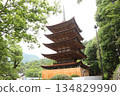 Five-story pagoda surrounded by fresh greenery 134829990