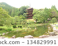 Scenery with a pond 134829991