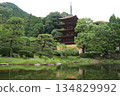 Scenery with a pond 134829992