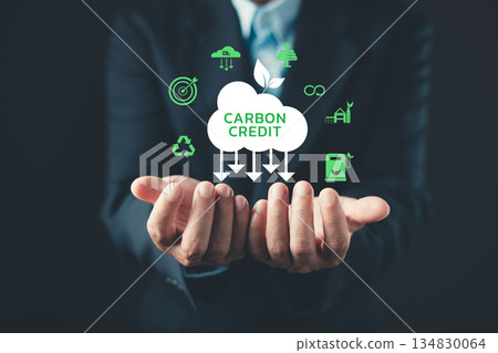 businessman holds digital icons around a cloud labeled carbon credit, representing environmental responsibility, carbon reduction, sustainable energy, recycling, and eco-friendly business practices. businessman holds digital icons around a cloud labeled carbon credit, representing environmental responsibility, carbon reduction, sustainable energy, recycling, and eco-friendly business practices. 134830064