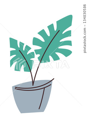 Green potted flower home decor 134830586