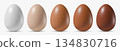 Set of realistic white, beige, light, dark brown chicken eggs. Vector isolated on white background 134830716