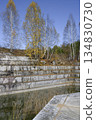 Huge geometric stone shapes and autumn birches reflected in the water of the abandoned marble quarry 134830730