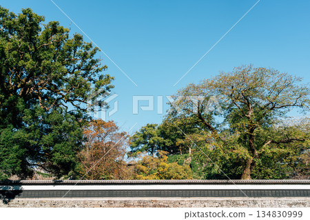 Kumamoto Castle Area Autumn Scene with Trees and Stone Wall in Japan Kumamoto Castle Area Autumn Scene with Trees and Stone Wall in Japan 134830999