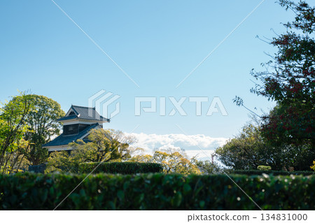 Kumamoto Castle Area with Green Trees in Japan Kumamoto Castle Area with Green Trees in Japan 134831000
