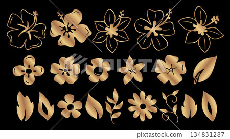 Gold Doodle Flowers Leaves and Silhouette Collection Botanical 134831287