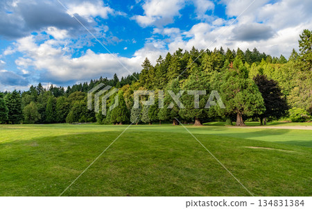 Landscape of meadow at park. Summer park zone nature. Scenic landscape of woodland. Scenic park trail. Nature of forest. Green forest wood landscape in summer. Path way. Nature of mixed forest Landscape of meadow at park. Summer park zone nature. Scenic landscape of woodland. Scenic park trail. Nature of forest. Green forest wood landscape in summer. Path way. Nature of mixed forest 134831384