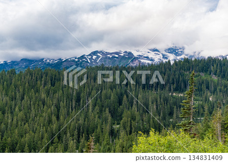 Mountainous landscape with cloudy sky. Scenic green hill mountain. Stunning natural views. Summer day in wild mountain with coniferous forest and green slopes. Mountain landscape with meadow 134831409