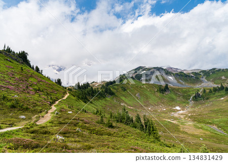 Mountain landscape with meadow. Mountainous landscape with cloudy sky. Scenic green hill mountain. Travel destination. Breathtaking summer day in wild mountain with coniferous forest and green slopes Mountain landscape with meadow. Mountainous landscape with cloudy sky. Scenic green hill mountain. Travel destination. Breathtaking summer day in wild mountain with coniferous forest and green slopes 134831429