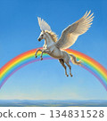 Rainbow and Pegasus 134831528