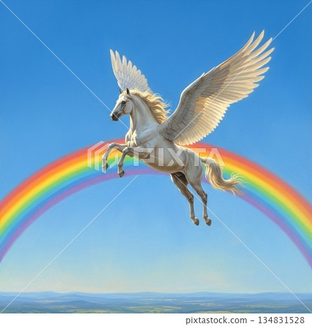 Rainbow and Pegasus 134831528