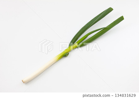 青蔥生菜白色背景 134831629