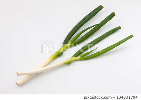 青蔥生菜白色背景 134831794