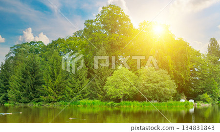 Peaceful Lakeside Scenery with Deciduous Trees and Blue Sky Peaceful Lakeside Scenery with Deciduous Trees and Blue Sky 134831843