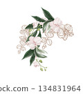 Wedding invitation wreath with pink orchid flowers leaves. 134831964