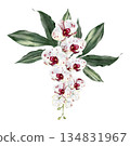 Wedding bouquet with orchid flowers and green leaves. 134831967