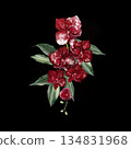 Wedding bouquet with orchid flowers and green leaves. 134831968