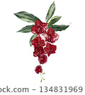 Wedding bouquet with orchid flowers and green leaves. 134831969