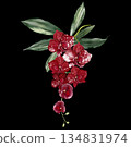 Wedding bouquet with orchid flowers and green leaves. 134831974